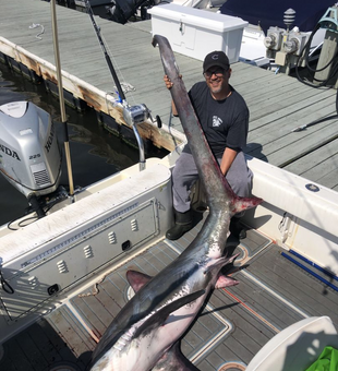 Epic Shark Fishing in New York!